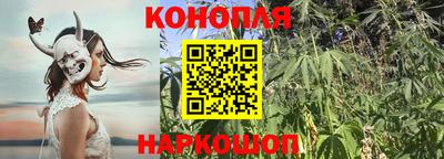 кокс Бийск