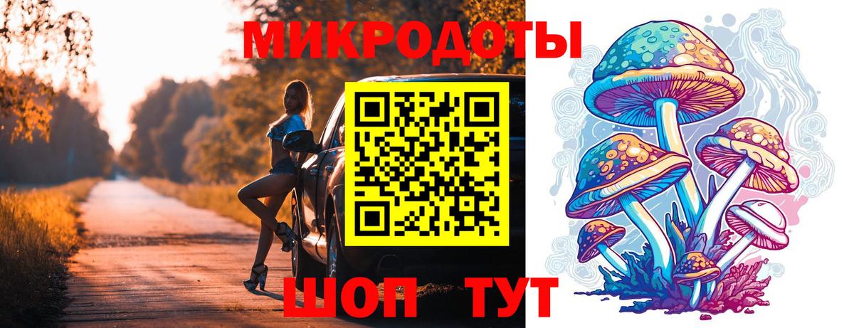 Галлюциногенные грибы MAGIC MUSHROOMS  Псилоцибиновые грибы MAGIC MUSHROOMS  Вход с VPN  Камышлов 