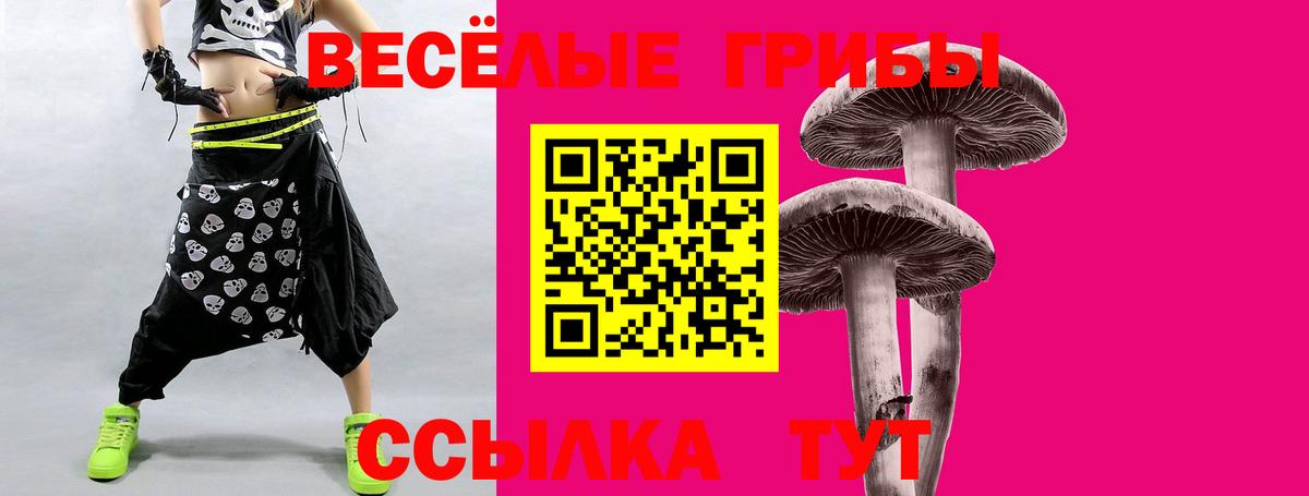 Псилоцибиновые грибы Psilocybe Камышлов